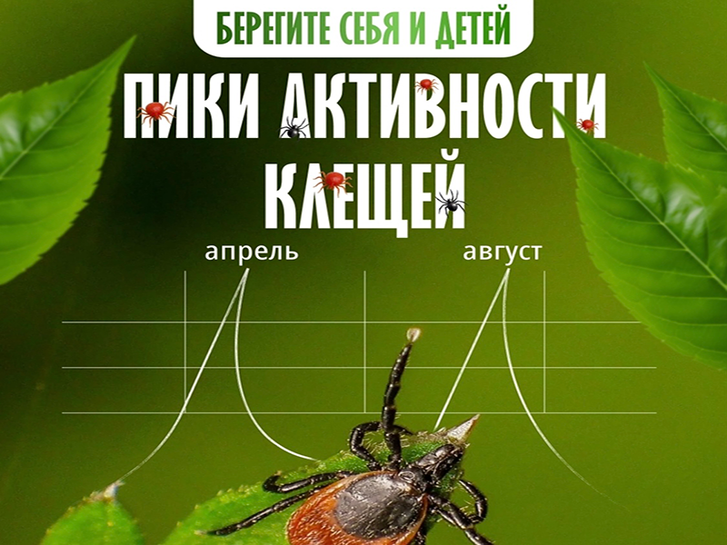 Внимание, клещи!.